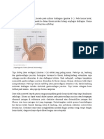 Hernia Hiatal (Chapter 3)