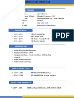 CURRICULUM VITAE Biasa