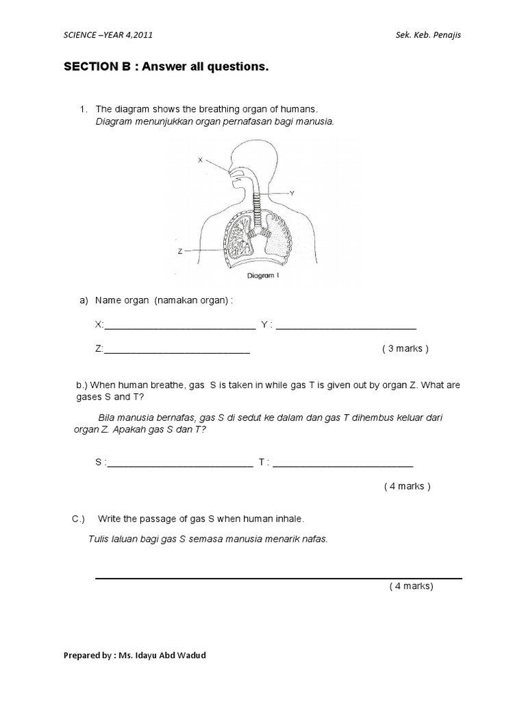 Year 4 Science Breathing & Fish Experiment | PDF | Phases Of Matter ...