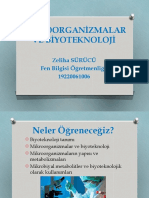 Mikroorganizmalar Ve Biyoteknoloji: Zeliha SÜRÜCÜ Fen Bilgisi Öğretmenliği 19220061006