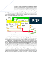 Phosphorus Processing Page 15