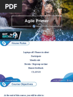 Agile Primer Deck