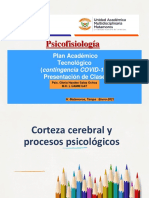 Corteza Cerebral y Procesos Psicológicos 2021