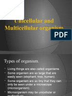 Unicellular and Multicellular Organism
