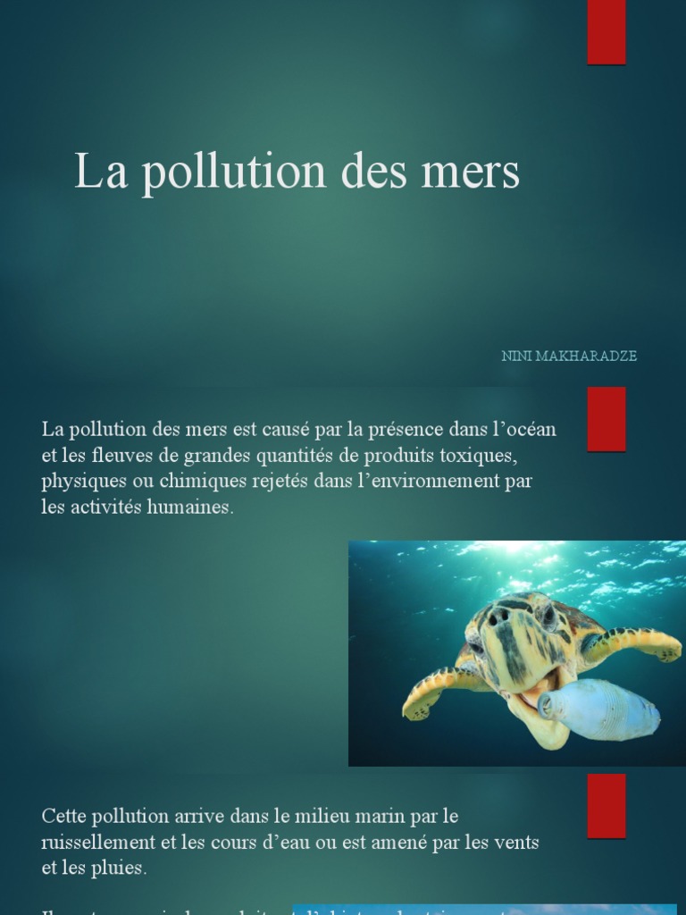La Pollution Des Mers | PDF | Océan | la pollution