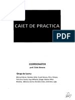 Caiet de Practica