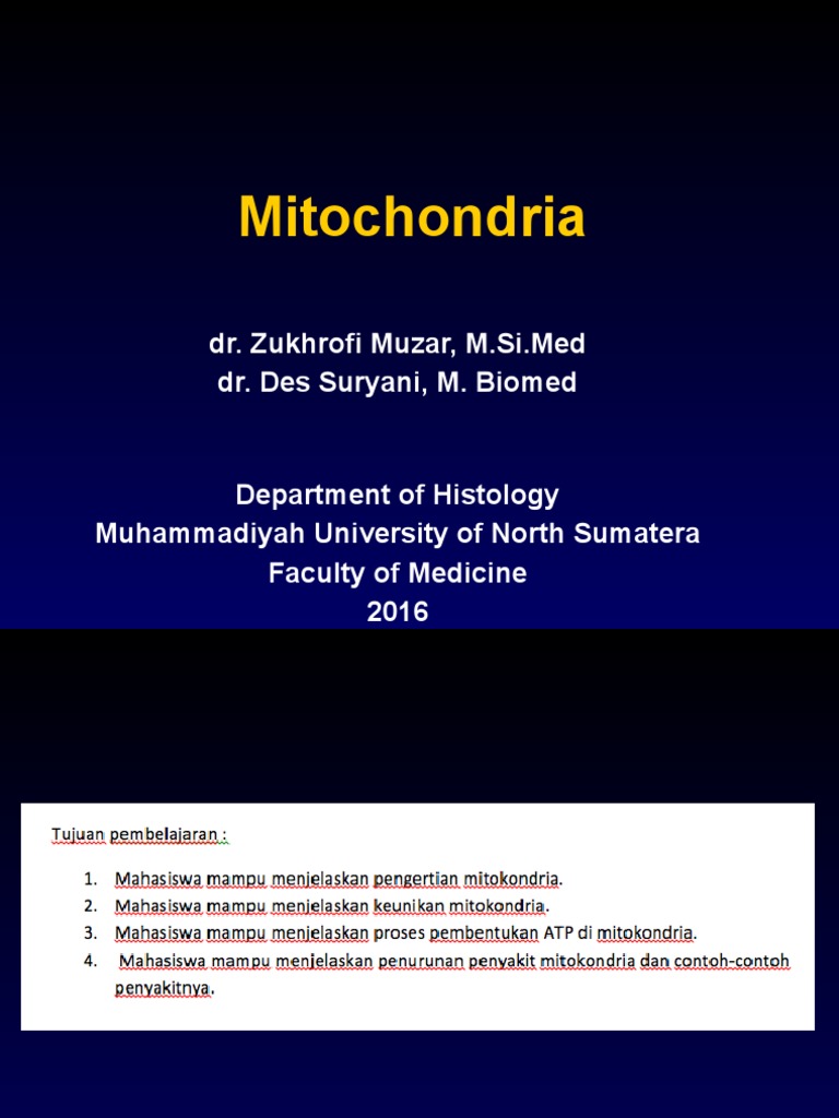Mitochondria: Structure and Function | PDF | Mitochondrion | Adenosine ...