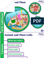 Animal and Plant Cells v1.0