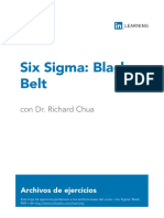 Six Sigma Black Belt Guia
