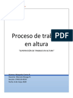 Proceso de trabajo en altura 2