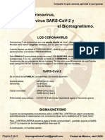 SARS-CoV-2 y Sus Pares Biomagnéticos
