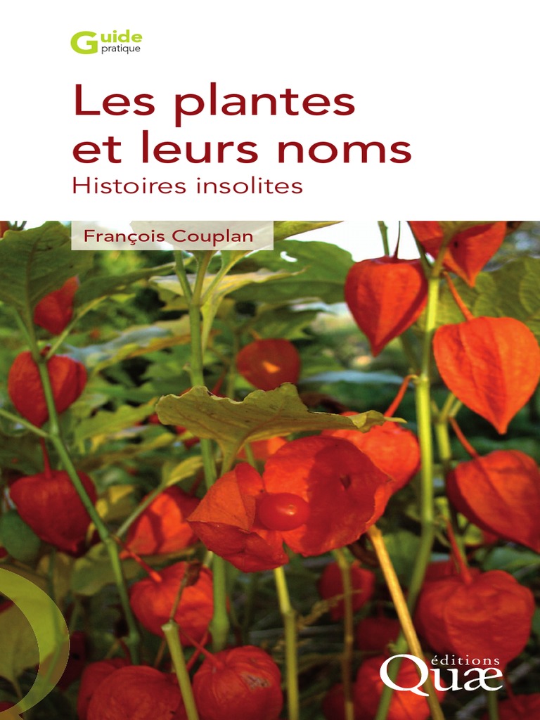 Nom De Plantes En Latin