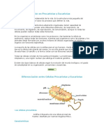 Estructura y Función en Procariotas y Eucariotas