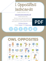 Owl Opposites Flashcards