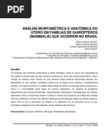 Analise Morfometrica e Anatomica do Utero em Familias de Quiropteros