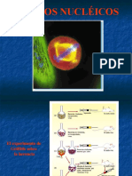 01acidos Nucleicos 2015