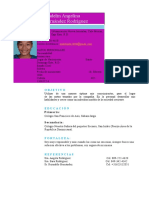 Curriculum Vitae 1 Madelin Hernandez