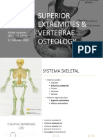 Superior Extremities & Vertebrae Osteology