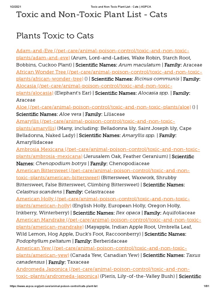 toxic-and-non-toxic-plant-list-cats-aspca-pdf-plants-botany