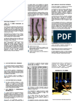 Higiene de Columna