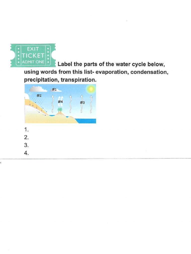 Water Cycle Exit Ticket | PDF