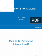 Protección Internacional