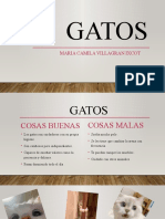 Gatos