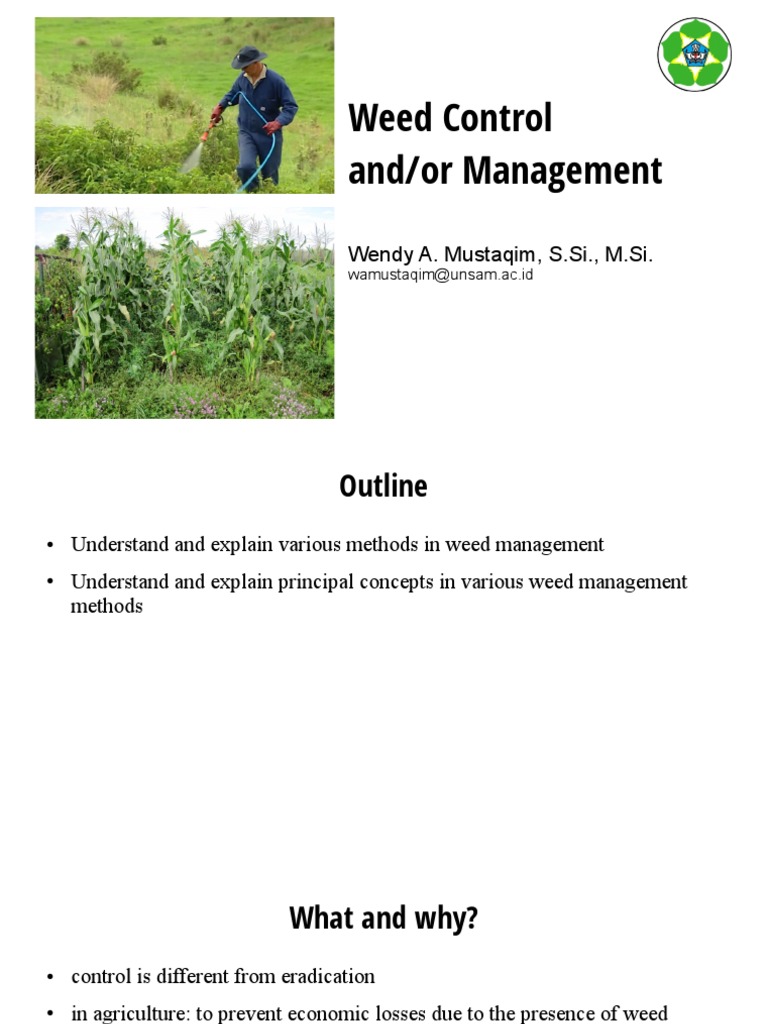 Effective Weed Management Strategies | PDF | Weed | Sowing