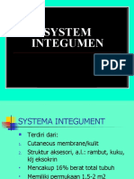System Integumen