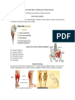 Puntos de Traumatologia-1