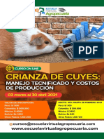 Curso Crianza de Cuyes Manejo Tecnificado y Costos