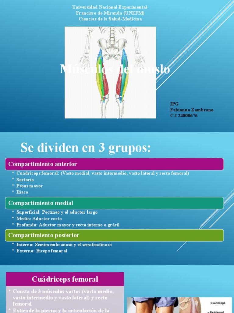 📚Bouillon et al., 2019📚20 👩🏻👨🏻 EMG de superficie (% MVIC) Fase de  descenso ⬇ EMG mayor en recto femoral y vasto medial, menor en tibial  anterior, peroneo largo y gemelo externo entre, image size:768x1024