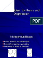 Nucleotides Metabolism Stud