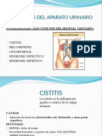 Patologia Urinaria