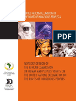 Advisory Opinion AfricanIndividualandPeoplesRights