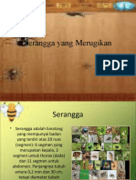 Serangga Yang Merugikan