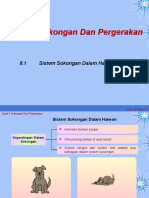 8.1 Sistem Sokongan Dalam Haiwan