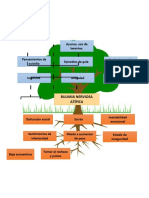 Arbol de Decisiones para El Parcial