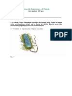 Ficha de Exercícios A Célula Ano lectivo_ 10º ano Turma_ Data_