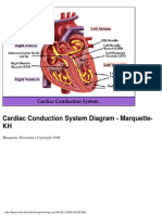 Cardiac Conduction System Diagram - Marquette-KH