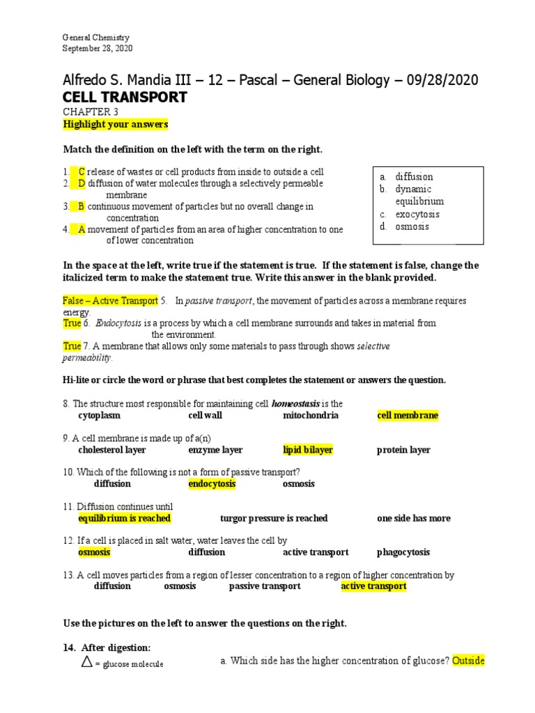 General Biology - Cell Transport - Mandia | PDF | Cell Membrane 