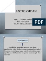 Zat Antioksidan - Safirah Adilah (4193331011) - PSPKC19