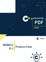 FORMATO - PRODUCTO - FINAL - Carlos Viamonte Condori