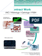 Contract Work: IHC / Histology / Cytology / FISH