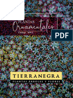 SMALL Catalogo Ornamental - Tierranegra Compressed