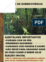 Aula Sobrevivencia - Ações Iniciais