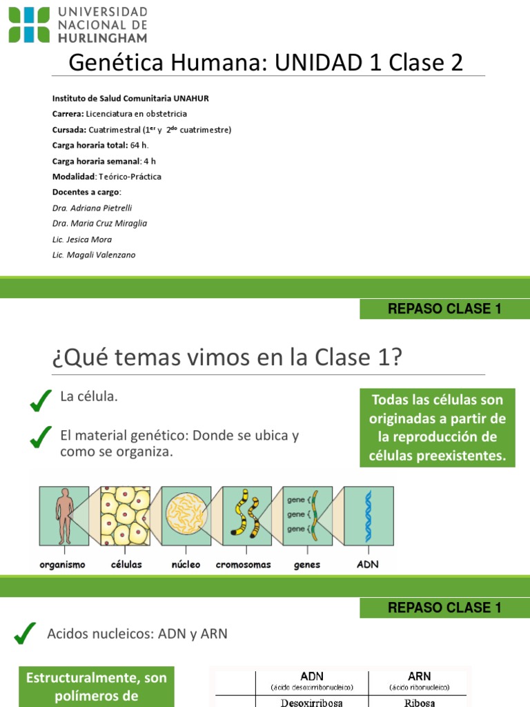 Clase 2 | PDF | Replicación De Adn | Rna