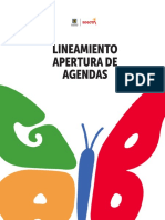 Lineamiento de Agendas Públicas