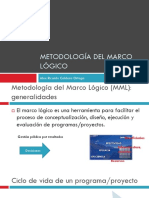 Metodología Del Marco Lógico