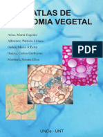 Atlas Anatomia Vegetal